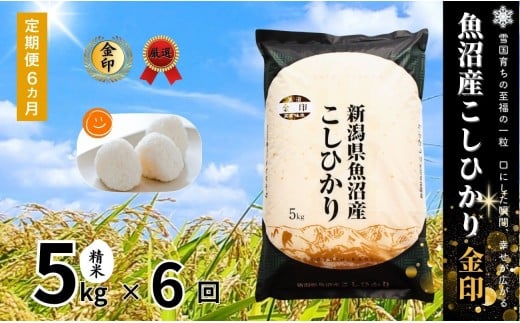 [ 定期便 6ヶ月 ] 高食味米 5kg × 6回 令和7年産 新米 魚沼産 コシヒカリ 金印 ( 一等米の中から厳選 ) | 白米 精米 米 お米 おこめ ブランド米 おすすめ 人気 新潟県 津南町