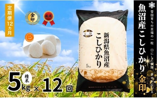 【 定期便 12ヶ月 】 高食味米 5kg × 12回 令和7年産 新米 魚沼産 コシヒカリ 金印 ( 一等米の中から厳選 ) | 白米 精米 米 お米 おこめ ブランド米 おすすめ 新潟県 津南町