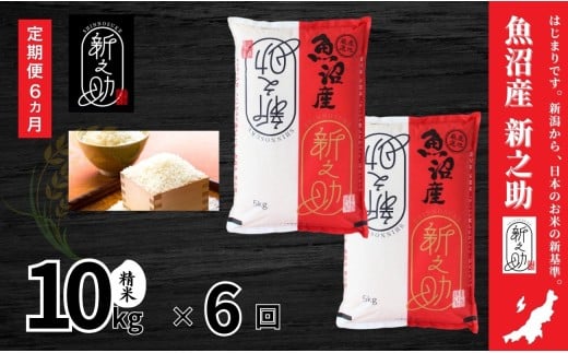 [ 定期便 6ヶ月 ] 米 10kg ( 5kg × 2袋 ) × 6回 令和7年産 新米 中魚沼産 新之助 | しんのすけ お米 おこめ 米 こめ 白米 精米 ブランド米 おすすめ 新潟県 津南町
