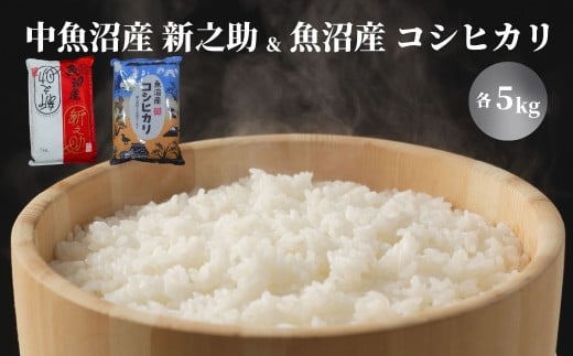 【 食べ比べセット 2種 各5kg 】 ( 中魚沼産 新之助 ・ 魚沼産コシヒカリ 金印 ) 令和7年産 新米 | お米 おこめ こめ コメ 白米 精米 ご飯 ギフト プレゼント 新潟県 津南町