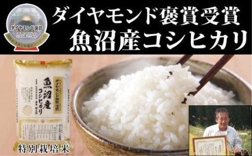 [令和7年産新米]最高級魚沼産 こしひかり 5kg×1袋 ダイヤモンド褒賞受賞 特別栽培米 新潟県 津南町 コシヒカリ コメ 米 お米