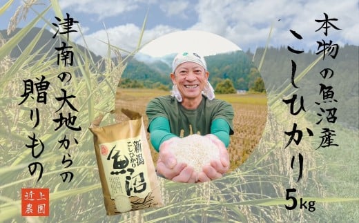 令和7年産 魚沼産コシヒカリ 白米 5kg | お米 おこめ 白米 精米 おすすめ 人気 新潟県 津南町 近上農園