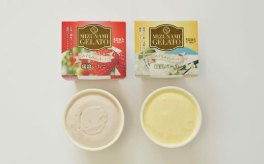 みずなみジェラート 2種 計8個 バニラ × いちご 瑞浪市 / きなぁた瑞浪 アイスクリーム ギフト [AZCI003]