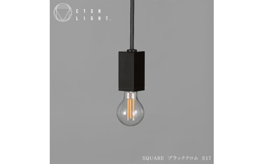 CTSH LIGHT. ペンダントライト＜SQUARE ブラッククロム E17＞ 瑞浪市 / ジオニック 照明器具 ソケット 鉄 ブラック [AZBQ091]