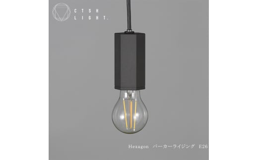 CTSH LIGHT. ペンダントライト＜HEXAGONパーカーライジング E26＞ 瑞浪市 / ジオニック 照明器具 ソケット 鉄 ブラック [AZBQ100]