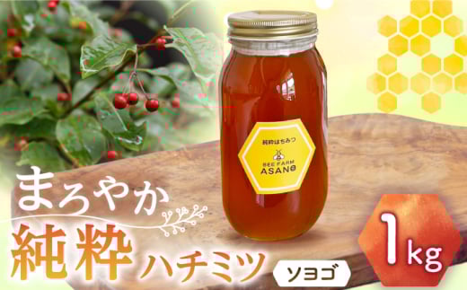 純粋ハチミツ ソヨゴ 1,000g×1 瑞浪市 / honey shop Bee farm asano 蜂蜜 はちみつ [AZBT012]