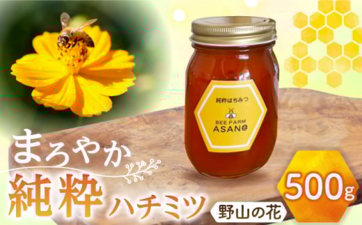 純粋ハチミツ 野山の花 500g×1 瑞浪市 / honey shop Bee farm asano 蜂蜜 はちみつ [AZBT005]