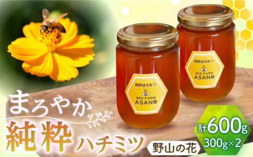 純粋ハチミツ 野山の花 300g×2 瑞浪市 / honey shop Bee farm asano 蜂蜜 はちみつ [AZBT004]