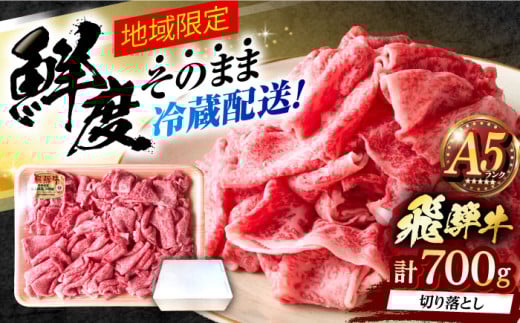※冷蔵配送/地域限定※ 飛騨牛 切落し (モモまたはカタ) 700g 瑞浪市 / きなぁた瑞浪 和牛 国産 岐阜県産 [AZCI028]