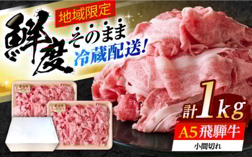 ※冷蔵配送/地域限定※ 飛騨牛 小間切 (大) 500g×2セット 瑞浪市 / きなぁた瑞浪 和牛 国産 岐阜県産 [AZCI027]