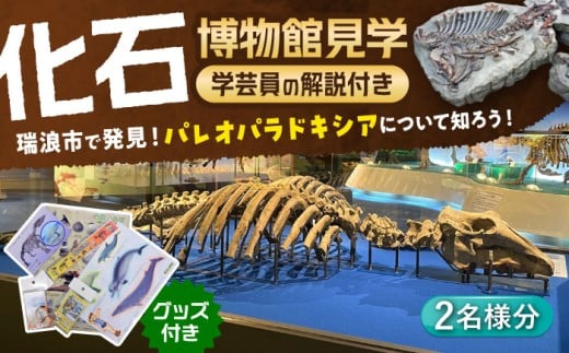 瑞浪市化石博物館 パレオパラドキシアコーナー 学芸員の解説付き見学ツアー(2名様) ＆ グッズセット 瑞浪市 [AZCJ002]