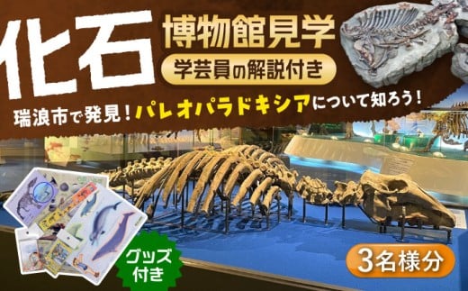 瑞浪市化石博物館 パレオパラドキシアコーナー 学芸員の解説付き見学ツアー(3名様) ＆ グッズセット 瑞浪市 [AZCJ003]