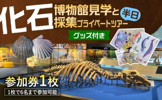 瑞浪市化石博物館 見学と化石採集プライベートツアー（半日）＆ グッズセット 瑞浪市 [AZCJ005]