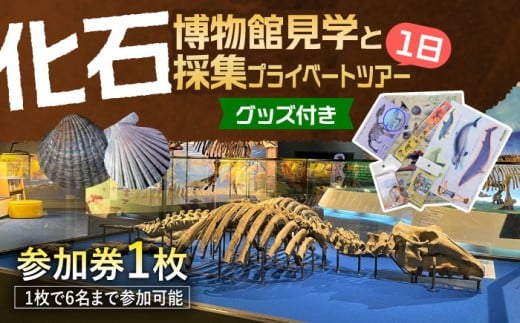 瑞浪市化石博物館 見学と化石採集プライベートツアー（一日）＆ グッズセット 瑞浪市 [AZCJ006]