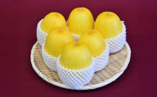 【2025年7月下旬より順次発送】旬の野菜 懐かしまっか便  栗東市 / 株式会社　ワダケン [BIBM006]