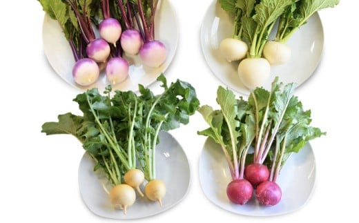 【2025年12月頃より順次発送】和らぎ農法　ほっこり便　かぶ編 栗東市 / 株式会社　ワダケン [BIBM009]