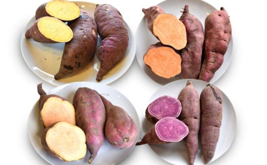 【2025年10月頃より順次発送】和らぎ農法　ほっこり便　さつまいも編　2.5kg 栗東市 / 株式会社　ワダケン [BIBM007]