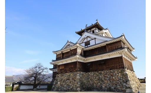 その他、本市施策推進のため市長が認める事業への寄附