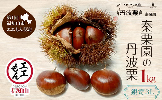 【先行予約10月上旬発送】秦栗園の丹波栗 銀寄3L 1㎏ 【第1回福知山市ええもん認定】大粒 ふるさと納税 栗 くり 人気 和    ギフト プレゼント お取り寄せ グルメ 京都府 福知山市　※沖縄・離島配送不可