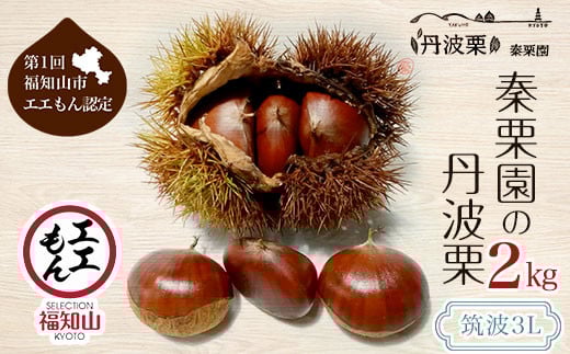 【10月上旬発送】秦栗園の丹波栗 筑波3L 2㎏【第1回福知山市ええもん認定】 大粒 ふるさと納税 栗 くり 人気 和 スイーツ 高級 和菓子 栗菓子 ギフト プレゼント お取り寄せ グルメ 京都府 福知山市　※沖縄・離島配送不可