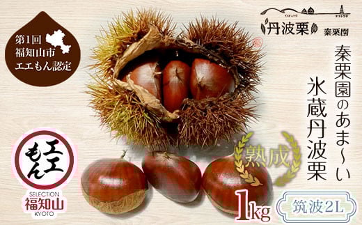 【先行予約10月下旬発送】秦栗園のあま～い氷蔵丹波栗 筑波2L 1㎏【第1回福知山市ええもん認定】【熟成】 大粒 ふるさと納税 栗 くり 人気 和 スイーツ 高級 和菓子 栗菓子 ギフト プレゼント お取り寄せ グルメ 京都府 福知山市　※沖縄・離島配送不可