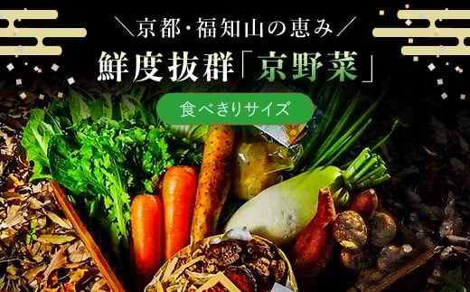 鮮度抜群「京野菜」 食べきりサイズ詰合せ  ふるさと納税 鮮度抜群 京野菜 野菜 京都府 福知山市 京都 福知山 ふるさと 奥京都
