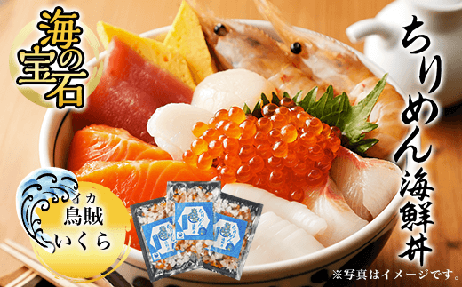 海の宝石　ちりめん海鮮丼<イカいくら>  ふるさと納税 海鮮 海鮮丼 イカ いか いくら イクラ 京都府 福知山市