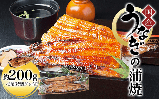国産うなぎの蒲焼 約200g×2尾(特製ダレ付)  ふるさと納税 鰻 うなぎ 蒲焼 タレ 焼き 蒲焼 かばやき ウナギ 国産 土用の丑の日 京都府 福知山市　奥京都
