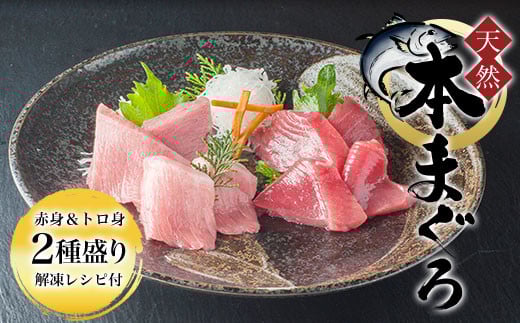 天然 本まぐろ 赤身＆トロ身 二種盛り 解凍レシピ付  ふるさと納税 まぐろ マグロ 鮪 本マグロ 赤身 天然 冷凍 京都府 福知山市