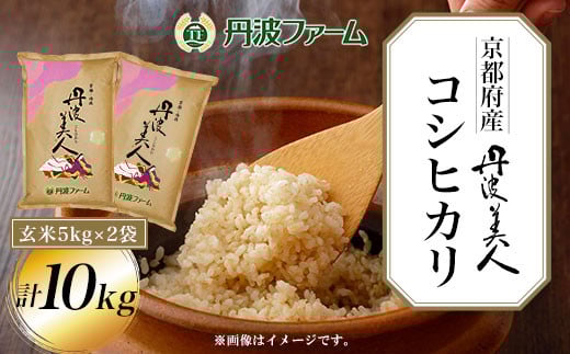 ＜令和６年産新米＞京都府産コシヒカリ　丹波美人　玄米5kg×2袋 計10kg  ふるさと納税 玄米 こめ コシヒカリ こしひかり 10kg 京都府 福知山市