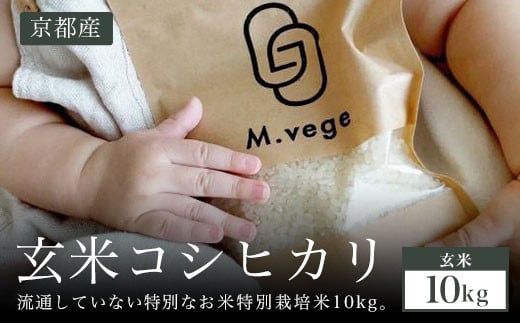 10kg 玄米 京都産コシヒカリ 流通していない 特別なお米 特別栽培米  ふるさと納税 玄米 特別栽培米 げんまい コシヒカリ こしひかり 米 コメ お米 もっちり 旨味 京都産 京都 福知山 京都府 福知山市 奥京都 ふるさと