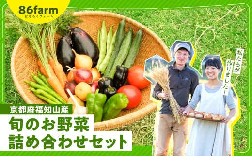 京都府福知山産　旬のお野菜詰め合わせセット  ふるさと納税 旬の野菜 新鮮 お楽しみ 詰め合わせ セット 栽培期間中農薬 肥料不使用 京都府 福知山市 京都 福知山 ふるさと 奥京都