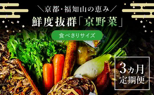 【3ヵ月定期便】鮮度抜群「京野菜」　食べきりサイズ詰合せ  ふるさと納税 京野菜 野菜 新鮮 食べきり 詰合せ 定期便 3か月 京都府 福知山市