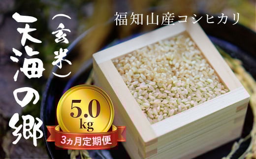 【令和6年産】【3ヵ月定期便】京都福知山産コシヒカリ『天海の郷』5kg（玄米）天空に広がる天海の郷 / ふるさと納税 こめ コメ 米 コシヒカリ こしひかり 玄米 定期 3カ月 おいしい 美味しい 美容 健康 天空 雲海 天海の郷 京都府 福知山市 FCCM036