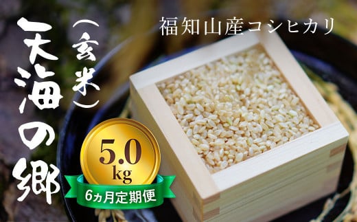 【令和6年産】【6ヵ月定期便】京都福知山産コシヒカリ『天海の郷』5kg（玄米）天空に広がる天海の郷 / ふるさと納税 こめ コメ 米 コシヒカリ こしひかり 玄米 定期 6カ月 おいしい 美味しい 美容 健康 天空 雲海 天海の郷 京都府 福知山市 FCCM037