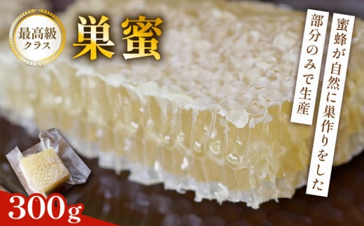 巣蜜(コムハニー) 約300g 巣蜜 コムハニー ハチミツ はちみつ ハニー honey 国産 甘い 甘味 真空パック 数量限定 京都府 福知山市