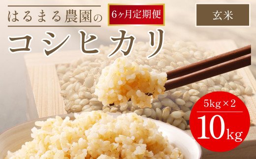 【先行予約】令和7年産新米　【定期便6ヵ月】はるまる農園のコシヒカリ 玄米10kg ／ ふるさと納税  米 こめ ご飯 ごはん 定期便 玄米 コシヒカリ こしひかり 福知山城献上米 豊冨米 京都府 福知山市 FCCN025