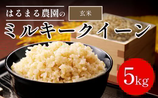 【先行予約】令和7年産新米　京都丹波福知山産　ミルキークィーン　玄米5kg ／ ふるさと納税  米 こめ ご飯 ごはん 玄米 ミルキークイーン みるきーくいーん 福知山城献上米 豊冨米 京都府 福知山市 FCCN026