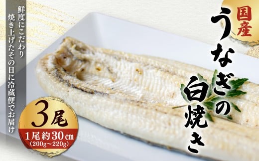「国産うなぎの白焼き」 3尾セット【凍らさず美味しさそのまま！〆たて・焼きたてを冷”蔵”で発送】地元飲食店に愛される、美味さにこだわった「国産うなぎの白焼き」 特上 うなぎ 蒲焼 ウナギ 鰻蒲焼き うなぎ蒲焼き 白焼き 3尾 人気 国産 浜名湖 うなぎ 関西 鰻蒲焼 養殖 冷蔵 ギフト ご褒美 人気 京都　京都府 福知山市 FCF014