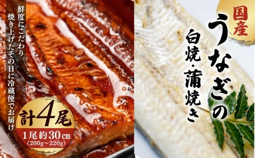 「国産うなぎの蒲焼き」×「国産うなぎの白焼き」 計4尾セット(各2尾)【凍らさず美味しさそのまま!〆たて・焼きたてを冷”蔵”で発送】地元飲食店に愛される、美味さにこだわった「国産うなぎの蒲焼き」×「国産うなぎの白焼き」 計4尾セット 特上 うなぎ 蒲焼 ウナギ 鰻蒲焼き うなぎ蒲焼き 白焼き 4尾 国産 浜名湖 関西 鰻蒲焼 養殖 冷蔵 ギフト ご褒美 人気 京都 京都府 福知山市 FCF018