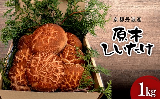 【2025年12月中旬より順次発送！】京都丹波産　原木しいたけ　1kg 【ふるさと納税 しいたけ シイタケ 椎茸 原木 自家栽培 煮物 炒め物 京都府 福知山市】FCFB005