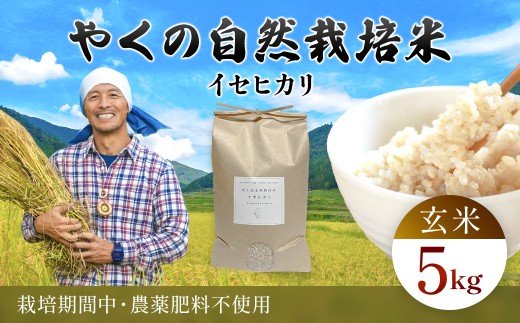 令和7年産 やくの自然栽培米 イセヒカリ 5kg 玄米 / 自然栽培米 自然栽培 こめ コメ 米 玄米 イセヒカリ いせひかり お米 ごはん やくの 夜久野 京都府 福知山市 FCEV009