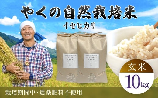 令和7年産 やくの自然栽培米 イセヒカリ 10kg 玄米 / 自然栽培米 自然栽培 こめ コメ 米 玄米 イセヒカリ いせひかり お米 ごはん やくの 夜久野 京都府 福知山市 FCEV010