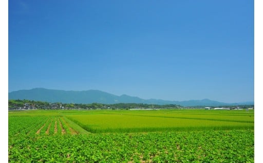 4．産業振興に関する事業