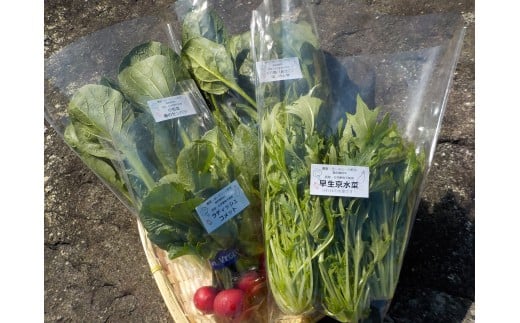 農園・空のこだわり 野菜 8~10品目 _S24