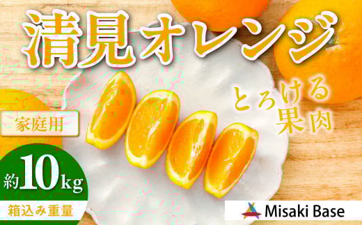 【先行受付】【家庭用】清見オレンジ 10kg ※離島への配送不可 （2026年3月中旬より順次発送）  【 ふるさと納税 人気 おすすめ ランキング みかん 柑橘 ミカン 蜜柑 mikan 果物 清見 清見オレンジ フルーツ 糖度 甘い きよみ タンゴール 温州 オレンジ 家庭用 おすそ分け Misaki Base 愛媛県 伊方町 送料無料 】 IKTAB008