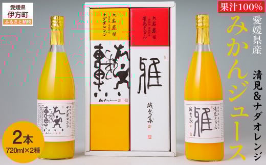 愛媛県産 果汁100％みかんジュース2本入りセット（清見・ナダオレンジ） 【 ふるさと納税 人気 おすすめ ランキング みかん ミカン 蜜柑 蜜柑ジュース みかんジュース ミカンジュース 柑橘 愛媛県産 セット 清見 ナダオレンジ 愛媛県 伊方町 送料無料 】 IKTC011