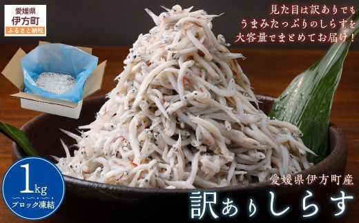 訳ありしらす 1kg  【 ふるさと納税 人気 おすすめ ランキング しらす シラス おかず ご飯 ご飯のお供 おにぎり 訳あり 愛媛県 伊方町 送料無料 】 IKTB016