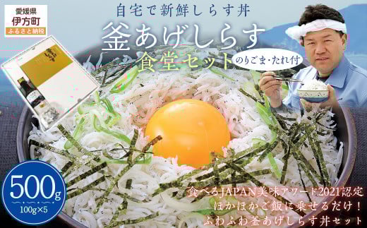 【自宅で新鮮しらす丼】釜あげしらす食堂セット◇ 【 ふるさと納税 人気 おすすめ ランキング しらす シラス 釜あげしらす 釜揚げ おかず ご飯 ご飯のお供 おにぎり 愛媛県 伊方町 送料無料 】 IKTB026