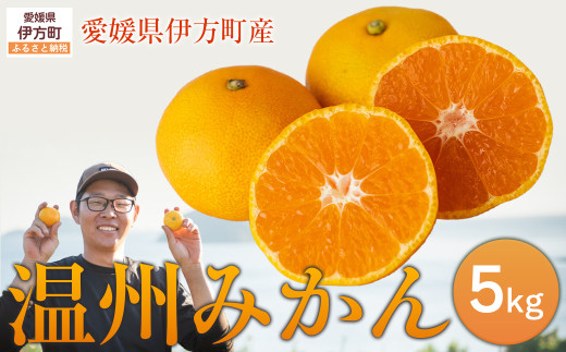 【先行予約】【数量限定】温州みかん5kg(石崎農園)※離島への配送不可 (2025年11月25日より順次発送予定) 【 ふるさと納税 人気 おすすめ ランキング 柑橘 みかん 温州みかん ミカン mikan 蜜柑 果物 フルーツ 愛媛県産 石崎農園 愛媛県 伊方町 送料無料 】 IKTAG001